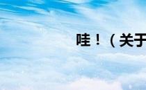 哇！（关于哇！介绍）