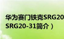华为赛门铁克SRG20-31（关于华为赛门铁克SRG20-31简介）