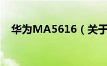 华为MA5616（关于华为MA5616简介）