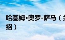 哈基姆·奥罗-萨马（关于哈基姆·奥罗-萨马介绍）