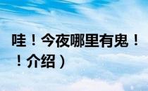 哇！今夜哪里有鬼！（关于哇！今夜哪里有鬼！介绍）