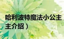 哈利波特魔法小公主（关于哈利波特魔法小公主介绍）