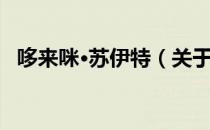 哆来咪·苏伊特（关于哆来咪·苏伊特介绍）