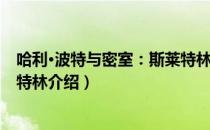 哈利·波特与密室：斯莱特林（关于哈利·波特与密室：斯莱特林介绍）