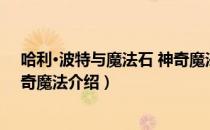哈利·波特与魔法石 神奇魔法（关于哈利·波特与魔法石 神奇魔法介绍）
