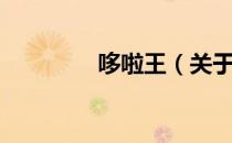 哆啦王（关于哆啦王介绍）