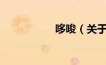 哆唆（关于哆唆介绍）