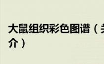 大鼠组织彩色图谱（关于大鼠组织彩色图谱简介）