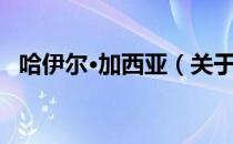 哈伊尔·加西亚（关于哈伊尔·加西亚介绍）