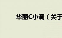 华丽C小调（关于华丽C小调简介）