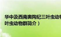 华中及西南奥陶纪三叶虫动物群（关于华中及西南奥陶纪三叶虫动物群简介）