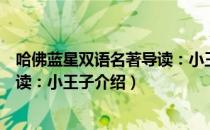 哈佛蓝星双语名著导读：小王子（关于哈佛蓝星双语名著导读：小王子介绍）