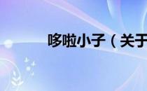 哆啦小子（关于哆啦小子介绍）