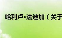 哈利卢·法迪加（关于哈利卢·法迪加介绍）