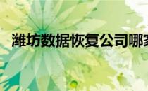 潍坊数据恢复公司哪家好（潍坊数据恢复）
