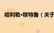 哈利勒·穆特鲁（关于哈利勒·穆特鲁介绍）