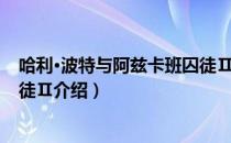 哈利·波特与阿兹卡班囚徒Ⅱ（关于哈利·波特与阿兹卡班囚徒Ⅱ介绍）