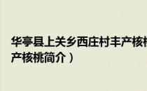 华亭县上关乡西庄村丰产核桃（关于华亭县上关乡西庄村丰产核桃简介）