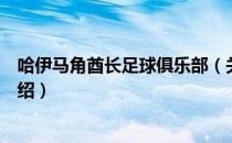 哈伊马角酋长足球俱乐部（关于哈伊马角酋长足球俱乐部介绍）