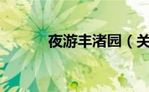 夜游丰渚园（关于夜游丰渚园）