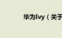 华为Ivy（关于华为Ivy简介）