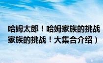 哈姆太郎！哈姆家族的挑战！大集合（关于哈姆太郎！哈姆家族的挑战！大集合介绍）