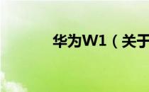 华为W1（关于华为W1简介）