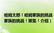 哈姆太郎！哈姆家族的挑战！聚集！（关于哈姆太郎！哈姆家族的挑战！聚集！介绍）
