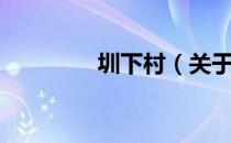 圳下村（关于圳下村简介）