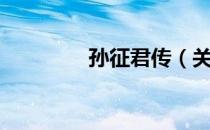 孙征君传（关于孙征君传）