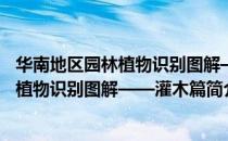 华南地区园林植物识别图解——灌木篇（关于华南地区园林植物识别图解——灌木篇简介）