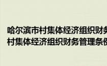 哈尔滨市村集体经济组织财务管理条例 修正（关于哈尔滨市村集体经济组织财务管理条例 修正介绍）