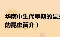 华南中生代早期的昆虫（关于华南中生代早期的昆虫简介）