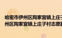 哈密市伊州区陶家宫镇上庄子村志愿服务队（关于哈密市伊州区陶家宫镇上庄子村志愿服务队介绍）
