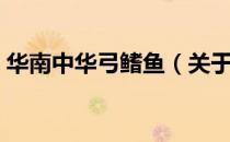华南中华弓鳍鱼（关于华南中华弓鳍鱼简介）