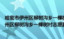哈密市伊州区柳树沟乡一棵树村志愿服务队（关于哈密市伊州区柳树沟乡一棵树村志愿服务队介绍）