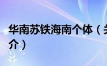 华南苏铁海南个体（关于华南苏铁海南个体简介）
