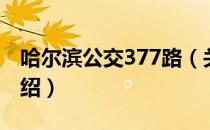 哈尔滨公交377路（关于哈尔滨公交377路介绍）