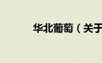 华北葡萄（关于华北葡萄简介）