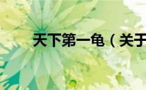 天下第一龟（关于天下第一龟简介）