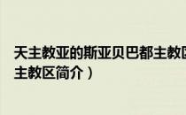 天主教亚的斯亚贝巴都主教区（关于天主教亚的斯亚贝巴都主教区简介）