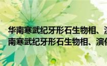 华南寒武纪牙形石生物相、演化及综合地层学研究（关于华南寒武纪牙形石生物相、演化及综合地层学研究简介）