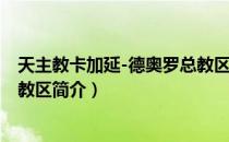天主教卡加延-德奥罗总教区（关于天主教卡加延-德奥罗总教区简介）