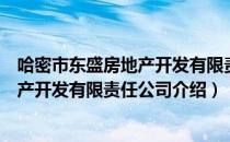 哈密市东盛房地产开发有限责任公司（关于哈密市东盛房地产开发有限责任公司介绍）