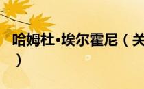 哈姆杜·埃尔霍尼（关于哈姆杜·埃尔霍尼介绍）
