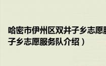哈密市伊州区双井子乡志愿服务队（关于哈密市伊州区双井子乡志愿服务队介绍）