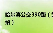 哈尔滨公交390路（关于哈尔滨公交390路介绍）
