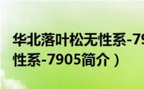 华北落叶松无性系-7905（关于华北落叶松无性系-7905简介）