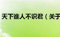 天下谁人不识君（关于天下谁人不识君简介）