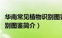 华南常见植物识别图鉴（关于华南常见植物识别图鉴简介）